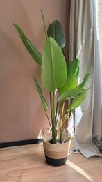 Nep bananen plant ikea, Ophalen, Zo goed als nieuw, Binnen