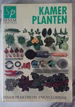 Kamerplanten, Ophalen of Verzenden, Zo goed als nieuw, Bloemen, Planten en Bomen