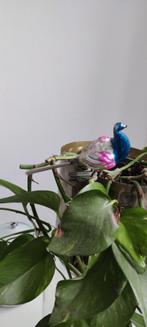 Antieke glazen vogel kerst gekleurd, Diversen, Kerst, Ophalen