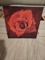 Schilderij met Rode Roos, Ophalen, Minder dan 50 cm, Zo goed als nieuw, Schilderij