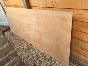 Multiplex plaat 305x120cm beschikbaar voor biedingen
