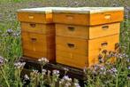 Te huur aangeboden bestuivingsvolken bijenvolk bijenvolken, Ophalen of Verzenden