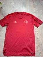 Bayern munchen voetbalshirt, Ophalen of Verzenden, Adidas, Voetbal, Gedragen