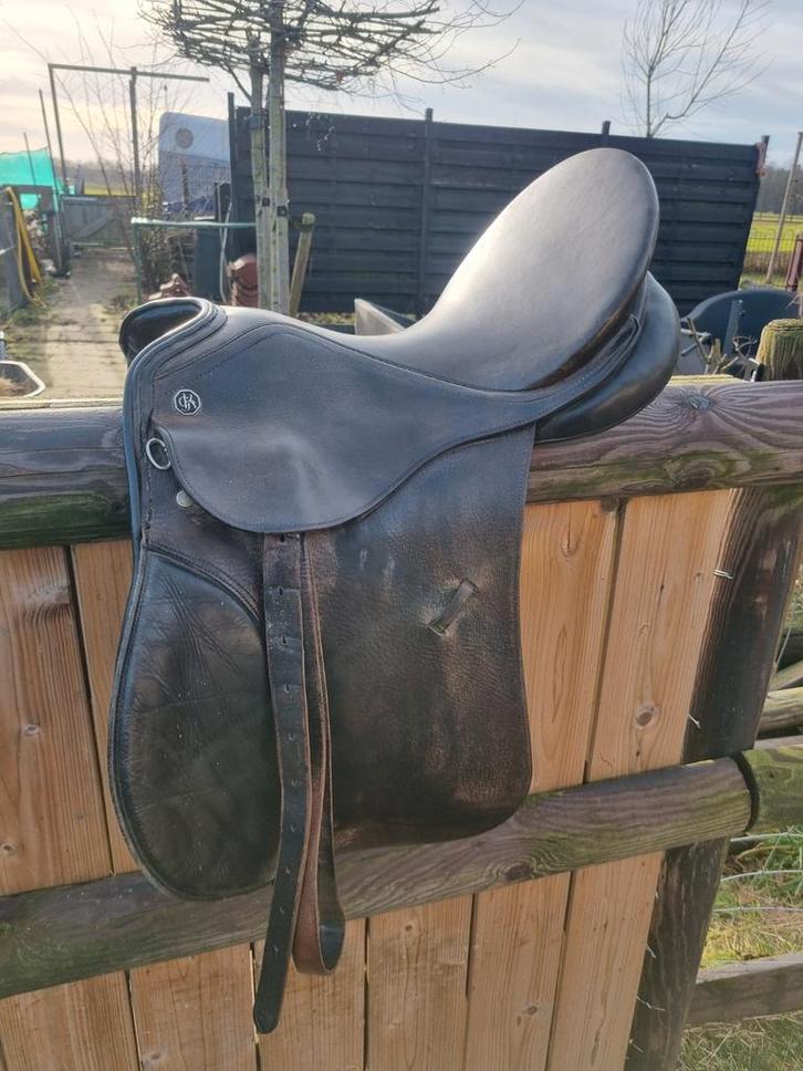 Kieffer zadel, Dieren en Toebehoren, Overige Dieren, Mannelijk, April