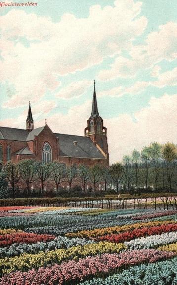 Hiacintenvelden (1907) 130012 beschikbaar voor biedingen