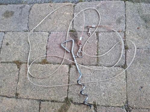 Hondenlijn met grondpen [Z.S.M. OPHALEN], Dieren en Toebehoren, Hondenriemen, Gebruikt, Hondenriem, Ophalen of Verzenden