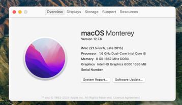 iMac - zgan - met snelle SSD beschikbaar voor biedingen