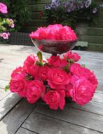 Vintage Vaas Rozensteker Sixties Schumm Plastic 17,5 cm, Ophalen of Verzenden, Huis en Inrichting