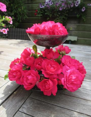 Vintage Vaas Rozensteker Sixties Schumm Plastic 17,5 cm beschikbaar voor biedingen