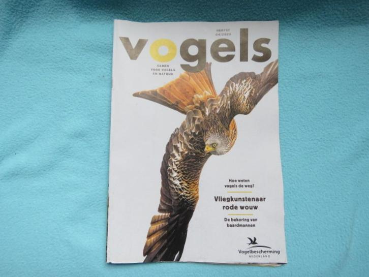 1 EURO OF GRATIS Tijdschrift Vogels Herfst 04-2023, Boeken, Tijdschriften en Kranten, Zo goed als nieuw, Wetenschap en Natuur