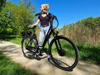 Amslod Newton LX 43V 600Wh Ebike, Fietsen en Brommers, Fietsen | Heren | Herenfietsen, Overige merken, Versnellingen, Ophalen of Verzenden
