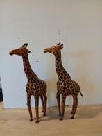 Giraffen, Ophalen of Verzenden