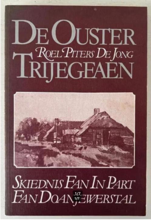 De Ouster Trijegeaen - Roel Piters De Jong, Boeken, Geschiedenis | Stad en Regio, Zo goed als nieuw, Ophalen of Verzenden