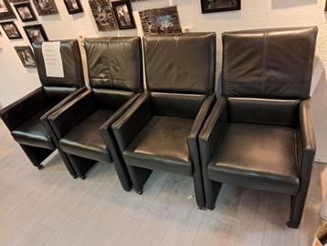 GRATIS AFHALEN . ze zitten zalig beschikbaar voor biedingen