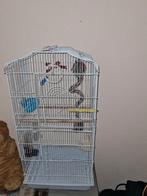 Nette vogelkooi voor ageponis kanarie of dwerg papegaai, Ophalen, Zo goed als nieuw, Metaal, Vogelkooi