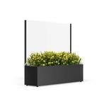 Nieuwe plantenbak met glazen windscherm, Ophalen, Tuin, Nieuw, Metaal