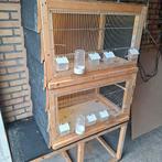 Vogelkooi/broedkooi, Dieren en Toebehoren, Ophalen, Hout, Broedkooi of Kweekkooi