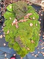 Sereen Tuinbeeld Leafling van Beton, 25 jaar oud, Tuin en Terras, Tuinbeelden, Ophalen