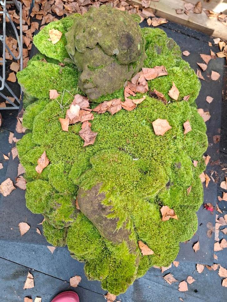 Sereen Tuinbeeld Leafling van Beton, 25 jaar oud, Tuin en Terras, Tuinbeelden, Ophalen
