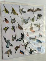 Vogelbescherming microvezel doekje Camera/verrekijker, bril, Ophalen of Verzenden, Nieuw, 8 tot 12x, Dakkant (recht)