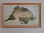 Schilderij bloem aronskelk, Antiek en Kunst, Ophalen of Verzenden
