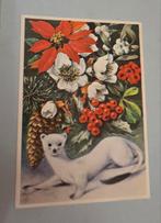 Hermelijn en bloemen - Ko van den Broecke 1969, Verzamelen, Ansichtkaarten | Themakaarten, Verzenden, 1960 tot 1980, Ongelopen