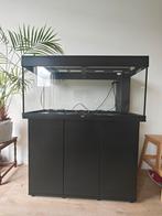 Juwel Rio 180, Ophalen, Zo goed als nieuw, Leeg aquarium