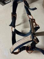 Te koop Shetlander halster, Dieren en Toebehoren, Ophalen of Verzenden, Overige soorten