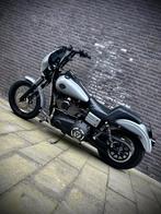 Harley Davidson Streetbob Clubstyle Dyna, Sportuitlaat, 2 cilinders, Particulier, Meer dan 35 kW