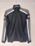 Adidas Trainingspak Tiro23 maat S zgan, Zwart, Ophalen of Verzenden, Zo goed als nieuw, Adidas