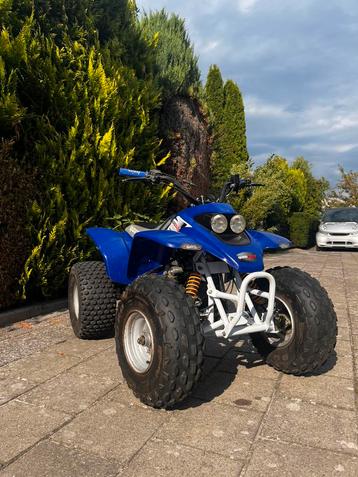 Zeer zeldzame quadzilla r100 beschikbaar voor biedingen