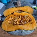 Diverse Pompoen Zaden, Ophalen of Verzenden