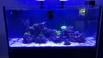 Red sea 425 XL G2, Dieren en Toebehoren, Vissen | Aquaria en Toebehoren, Ophalen, Zo goed als nieuw, Leeg aquarium