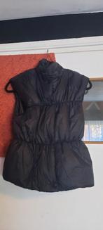 nieuw bodywarmer S tot L, Ophalen of Verzenden, Nieuw, Zwart
