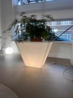 Plantenbak, wit en belicht, Ophalen of Verzenden, Zo goed als nieuw, Rond, Kunststof