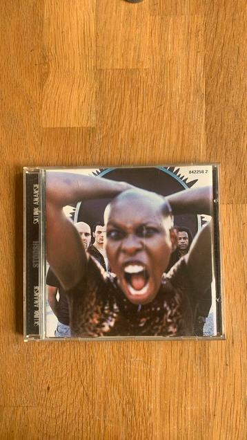 Skunk anasie “stoosh” beschikbaar voor biedingen