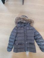 Liu Jo Winterjas Meisje Maat 152, Meisje, Ophalen of Verzenden, Zo goed als nieuw, Liu Jo