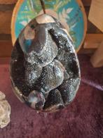 Septaria - Ei, aanbieding, Verzamelen, Mineralen en Fossielen, Verzenden, Mineraal