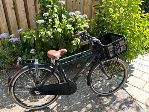 Cortina U4 jongensfiets 26 inch 3V terugtraprem mand, Fietsen en Brommers, Fietsen | Jongens, Zo goed als nieuw, 26 inch of meer