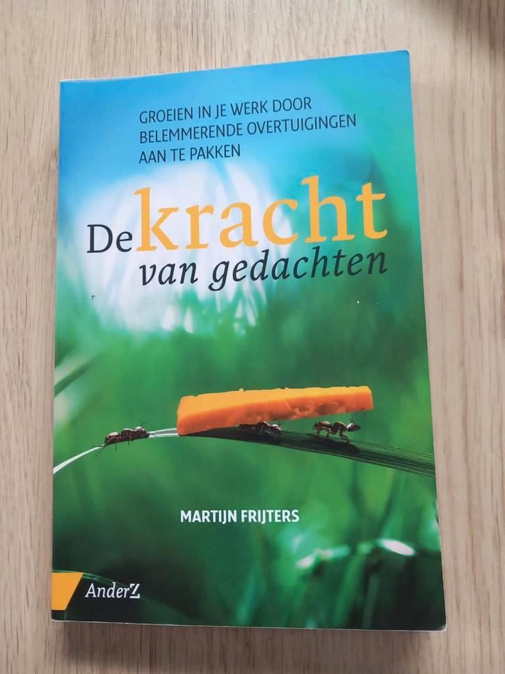 Martijn Frijters - De kracht van gedachten, Boeken, Psychologie, Zo goed als nieuw, Ophalen of Verzenden