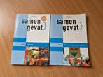 2 x Sanmengevat HAVO, Boeken, Schoolboeken, HAVO, Economie, Ophalen of Verzenden, Zo goed als nieuw