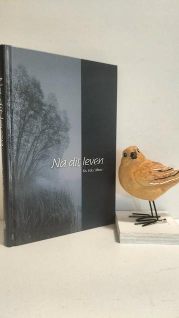 Abma, Ds. H.G.: Na dit leven beschikbaar voor biedingen