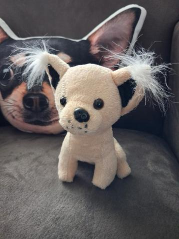 Schattige Chihuahua Knuffel beschikbaar voor biedingen