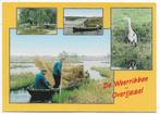 Weerribben Overijssel ongelopen Ansichtkaart (B2389 ), Ophalen of Verzenden, 1980 tot heden, Ongelopen, Overijssel