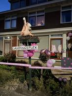 Ooievaarsnest, Kinderen en Baby's, Kraamcadeaus en Geboorteborden, Ophalen, Zo goed als nieuw