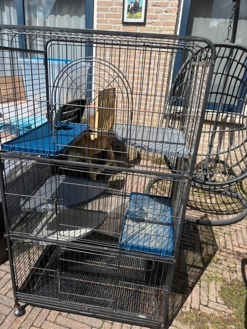 Mega grote kooi voor ratten,fretten of chinchilla’s. KOOPJE, Dieren en Toebehoren, Knaagdieren en Konijnen | Hokken en Kooien