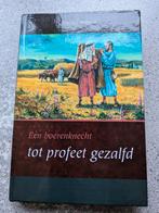 Ds A. J. Britstra: Een boerenknecht tot profeet gezalfd, Ophalen of Verzenden, Zo goed als nieuw