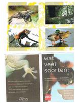 Artis Doeboek - stickers, Verzamelen, Supermarktacties, Albert Heijn, Ophalen of Verzenden