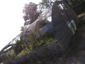 Te koop tunnelkas met net  beschikbaar voor biedingen