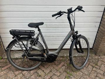 Gazelle Orange Limited 61 cm beschikbaar voor biedingen